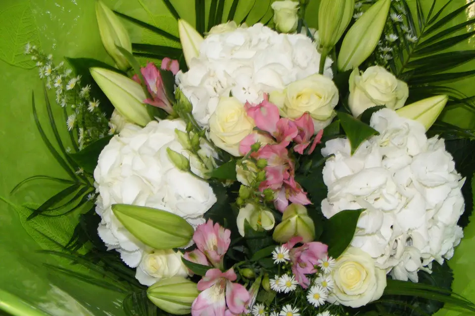 Fleurs Attitud' — photo 6