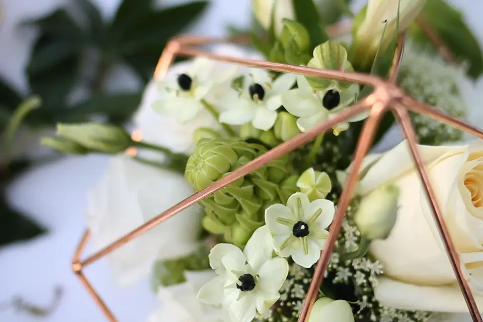 CreatiVision Photo&Video — photo 6