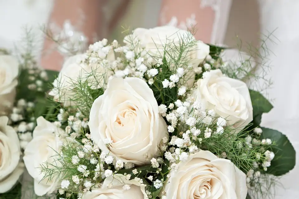 Jardin des Sacres — photo 1