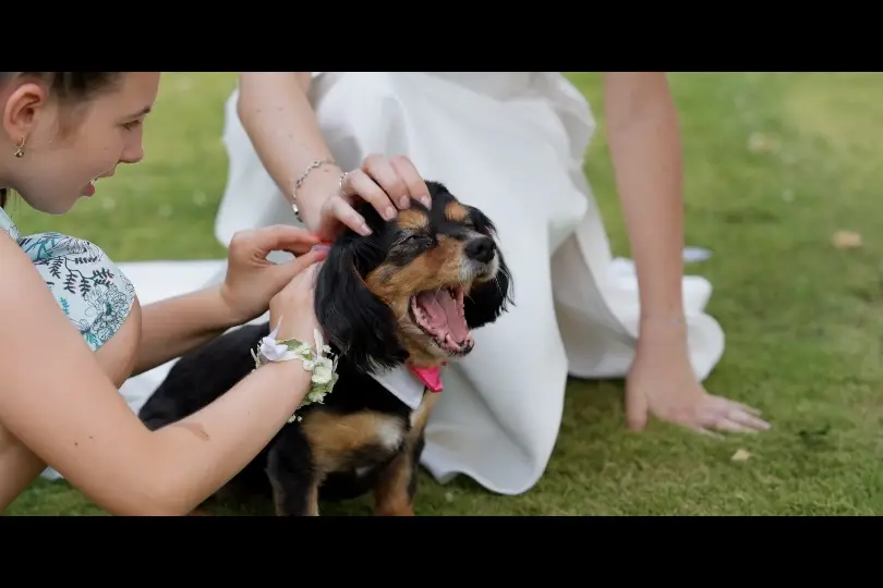 Romain Playoust — photo 1