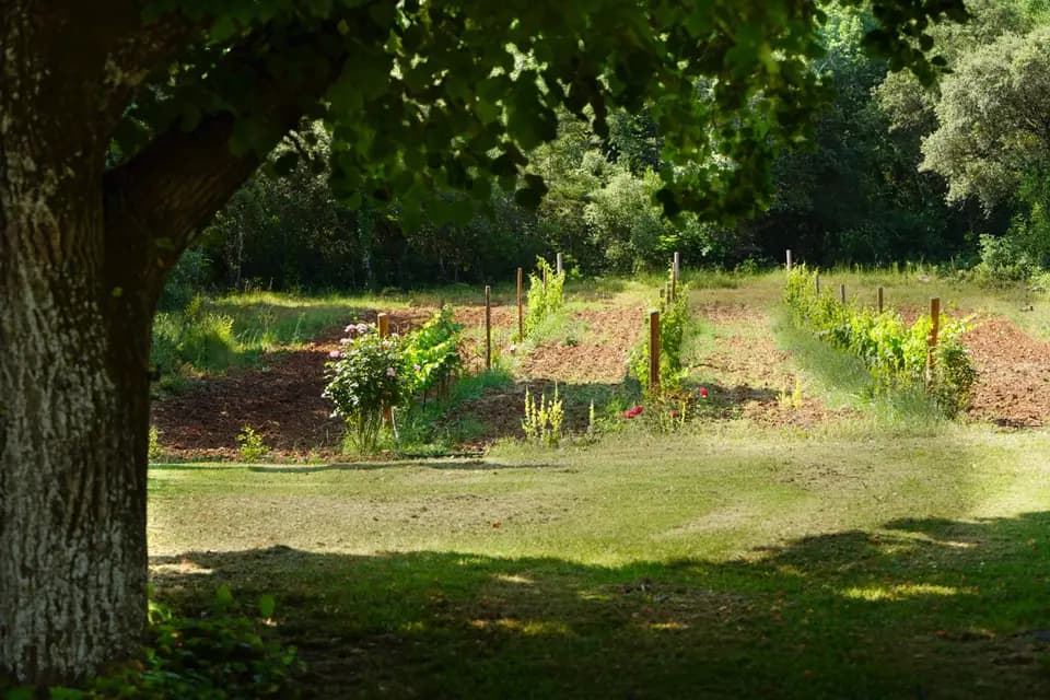 Domaine de Montaud — photo 3