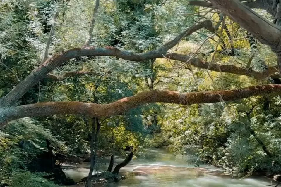 Domaine de Montaud — photo 2