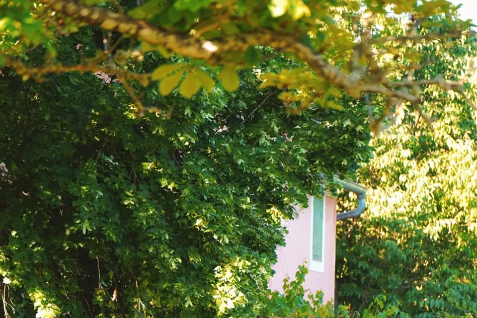 Domaine de Montaud — photo 6