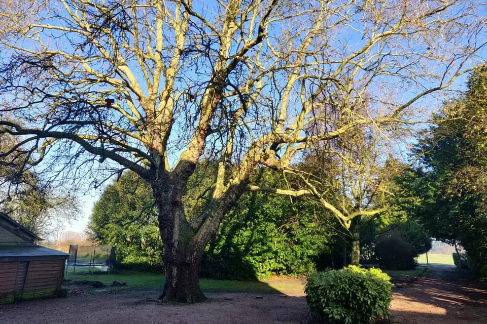 Le Pensionnat — photo 4