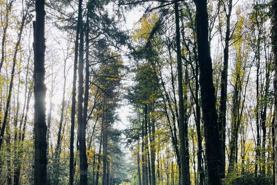 Domaine de la Jousselinière — photo 5