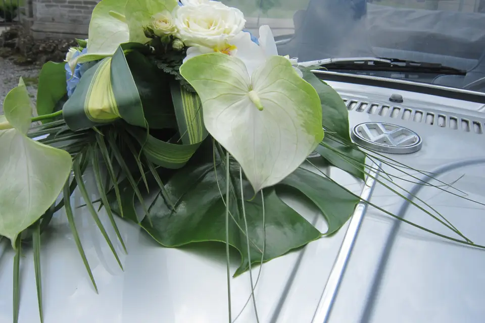 Cox Cabriolet — photo 1