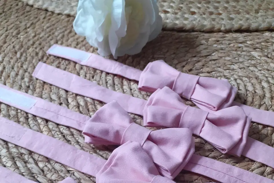 Latitemarie — photo 2