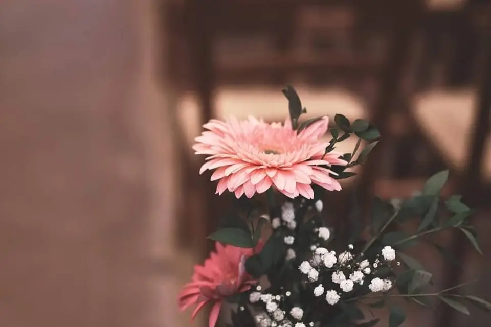 Palfevenement — photo 3