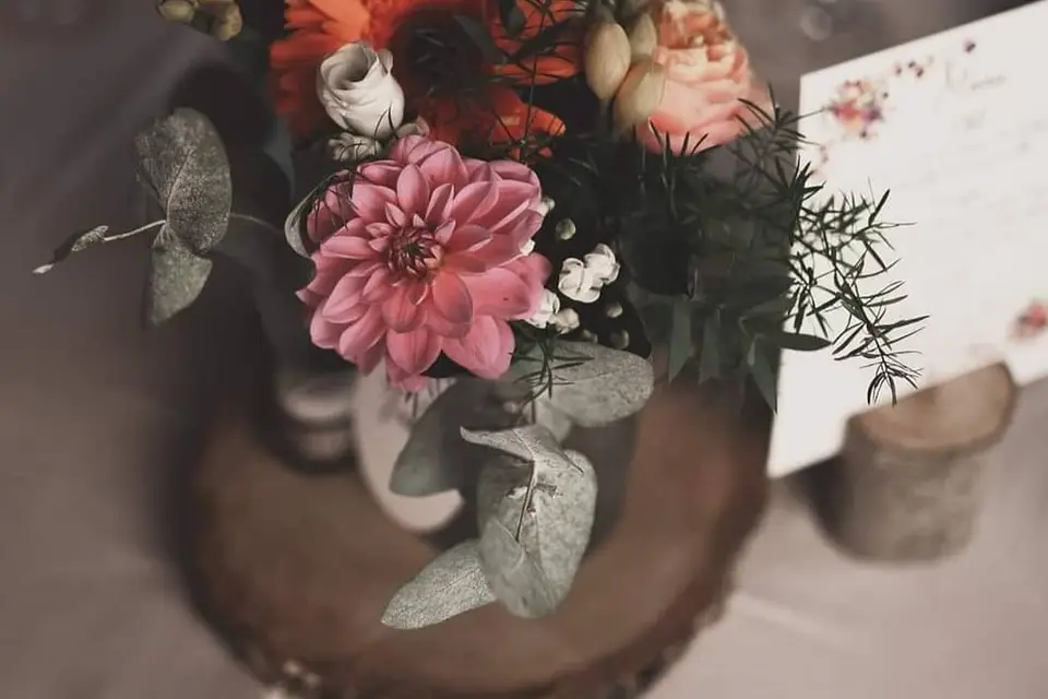 Palfevenement — photo 8