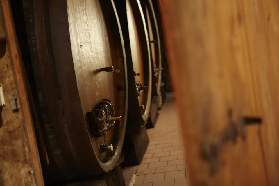 La Cave du Tonnelier — photo 2