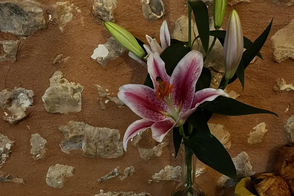 Ça brunch pour moi — photo 2