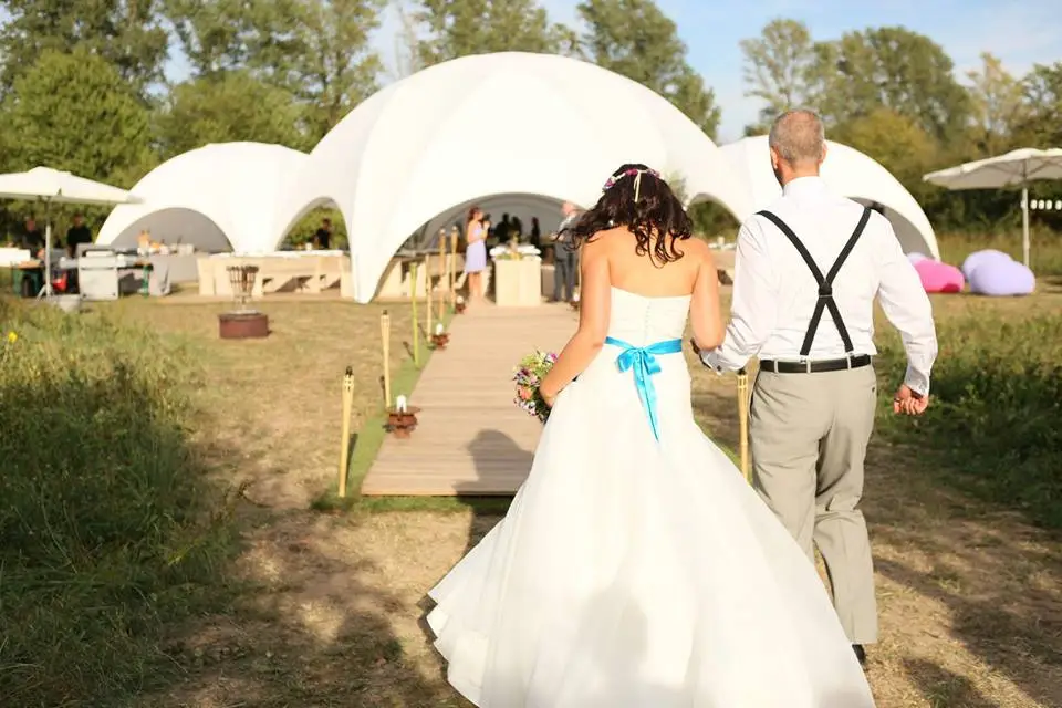 Megadome — photo 4