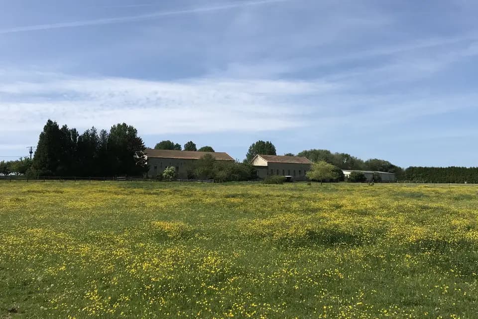 Le Haras de Pévy — photo 2