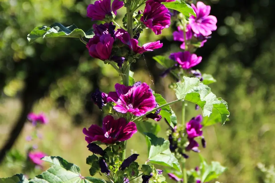 Le Haras de Pévy — photo 8