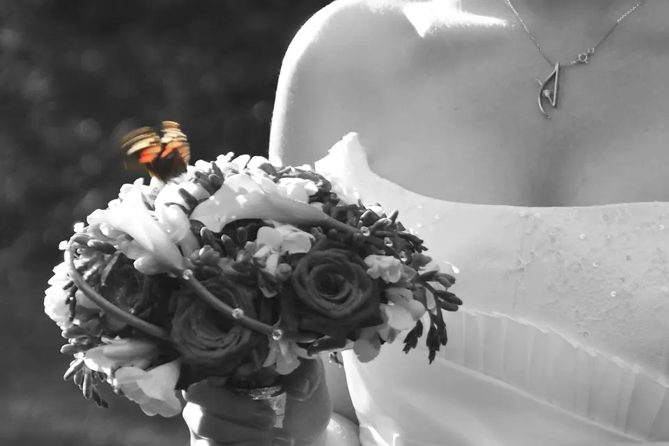 OS Concept — photo 3