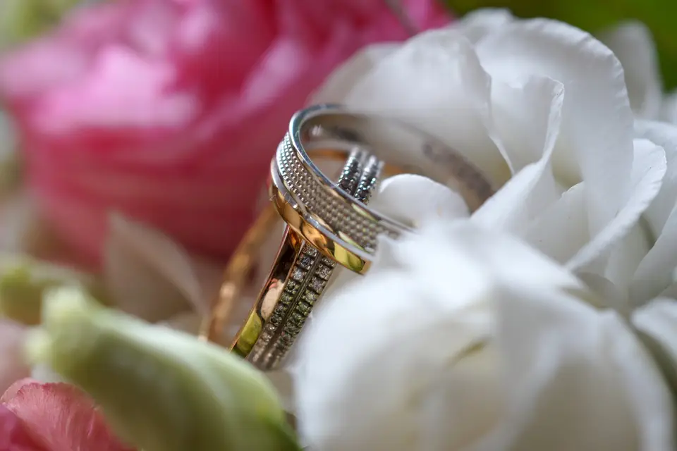 La vie en rose Studio — photo 8