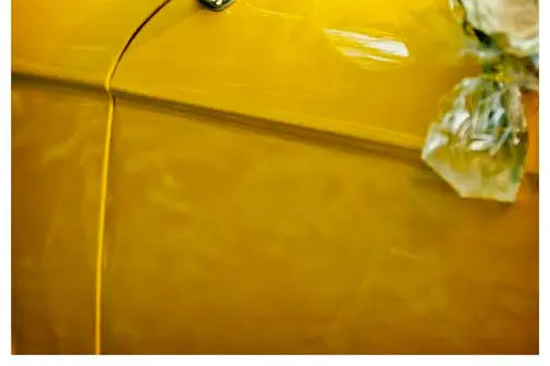 Pascal Lachaume Photographe — photo 6