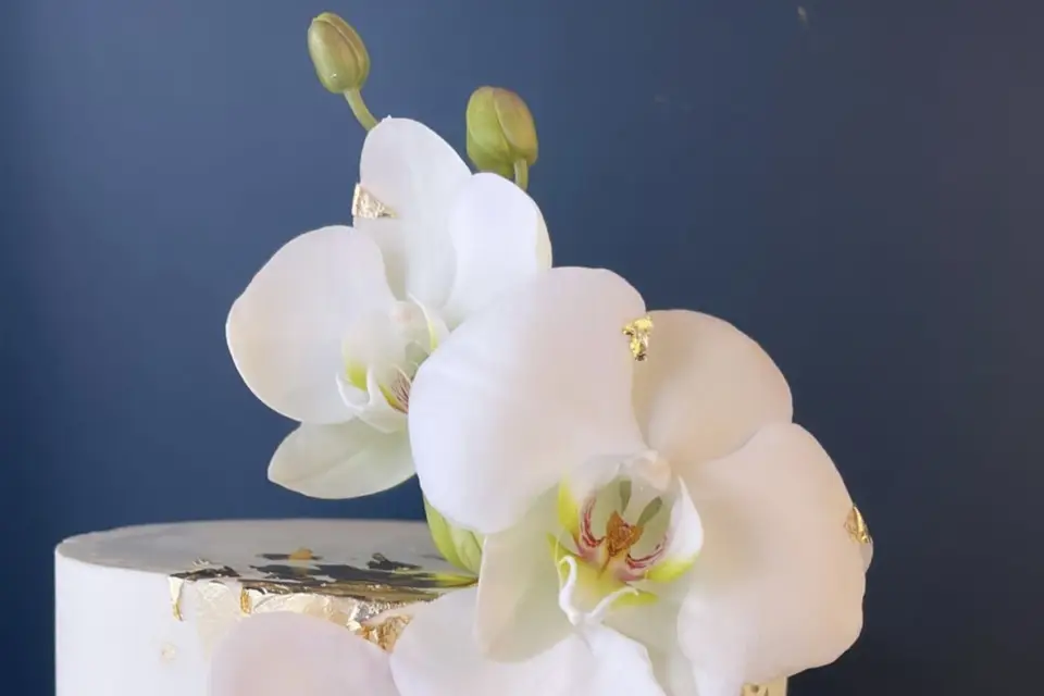 Haute Pâtisserie — photo 7