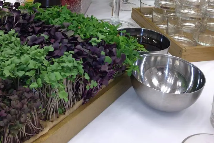 Papillon Paris Traiteur — photo 2