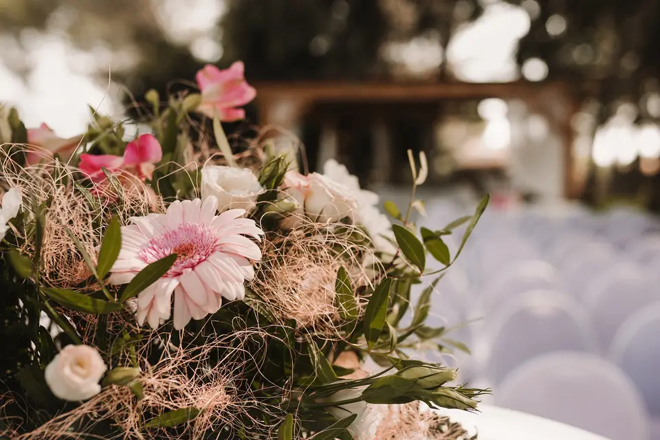 Studio Hors-Champ — photo 4