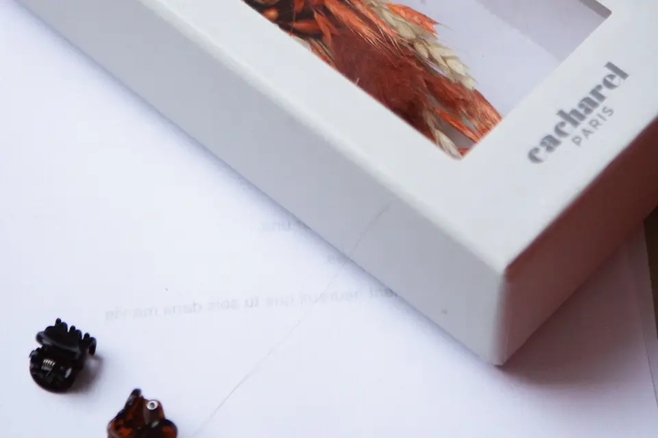 Léa Lahannier — photo 5