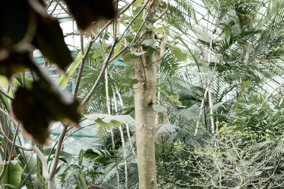 Pretty Little Event — photo 1