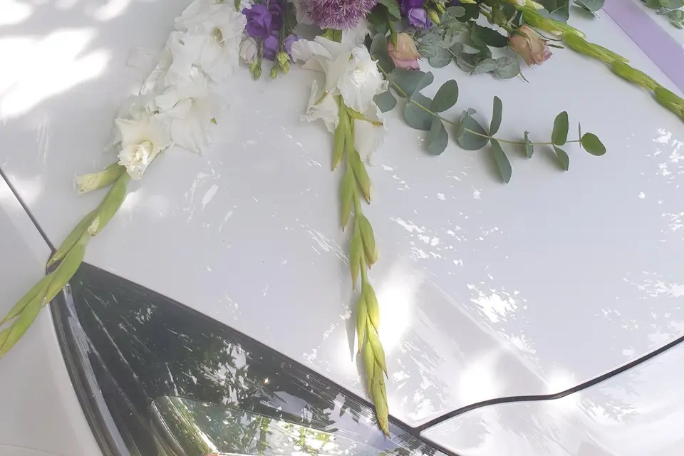 Les Fleurs de Lona — photo 5