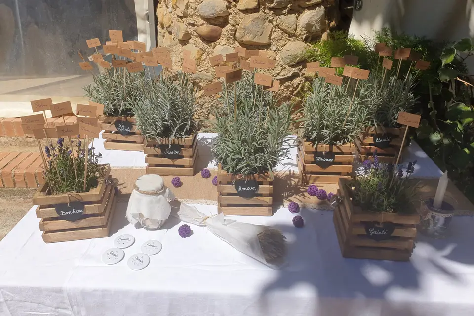 Les Fleurs de Lona — photo 4