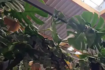 Wedding by Home — photo 7