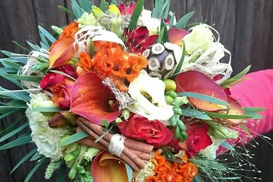 Florilège de Pauline — photo 7