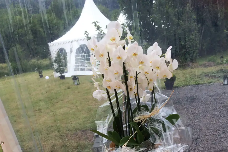 Agence UniK — photo 7