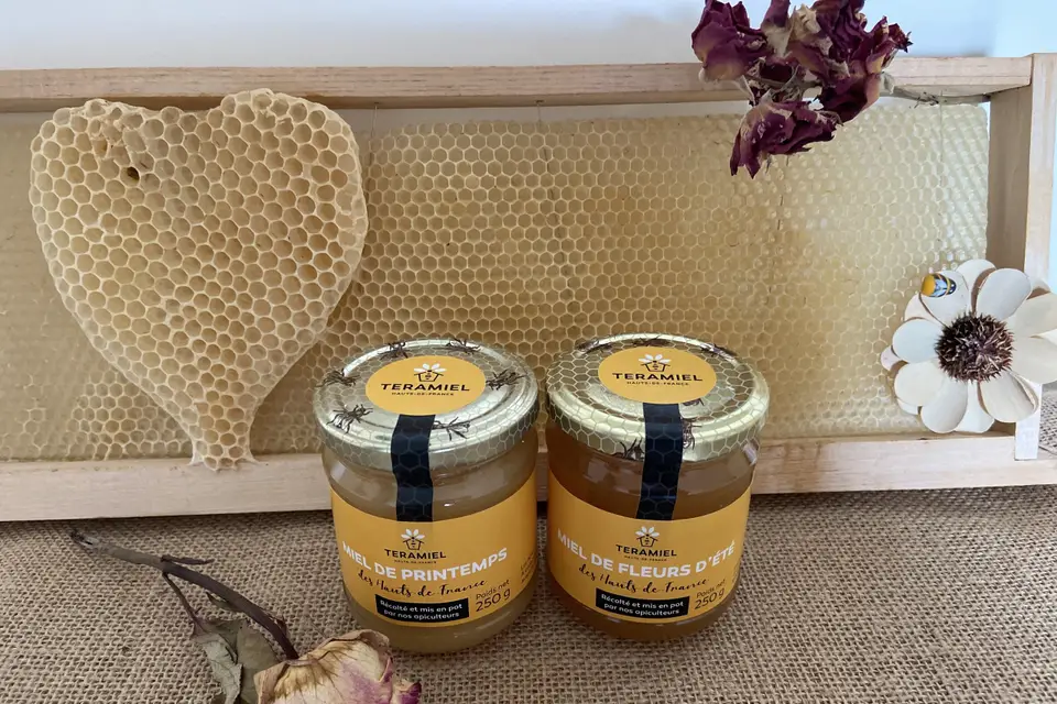 Ternoveo — photo 6