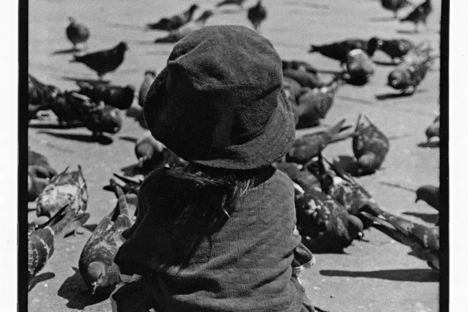 SVM Photographie — photo 5