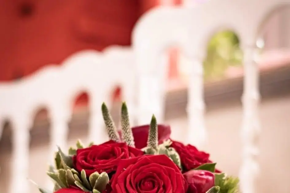 Maxime Aymard — photo 5