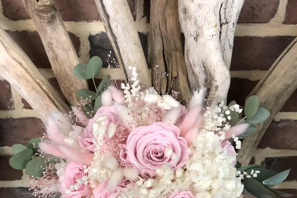 Maxime Aymard — photo 1