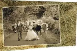 Love Affair & Cie — photo 8