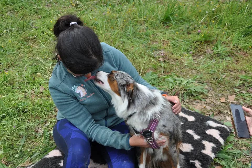 La Patte Tendre - Pet-sitter