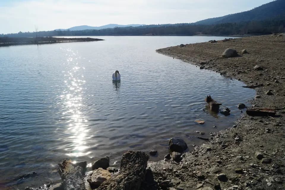 La Patte Tendre - Pet-sitter — photo 5