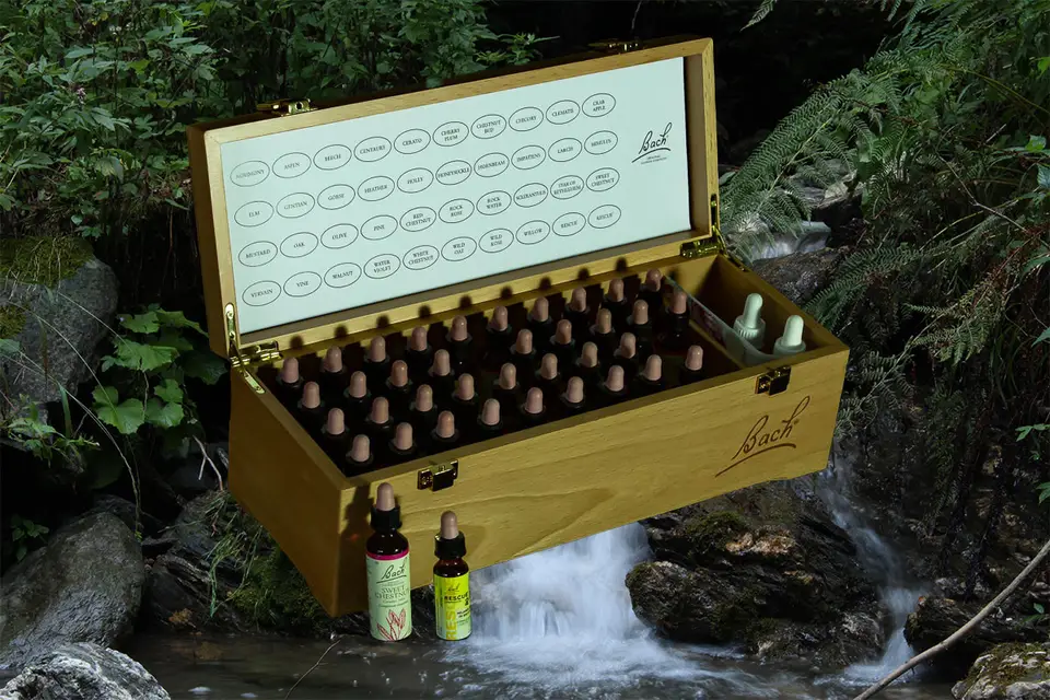 La Patte Tendre - Pet-sitter — photo 6