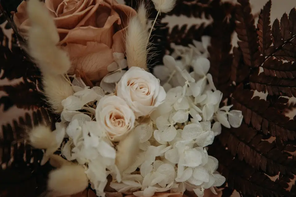 Doux Septembre — photo 7