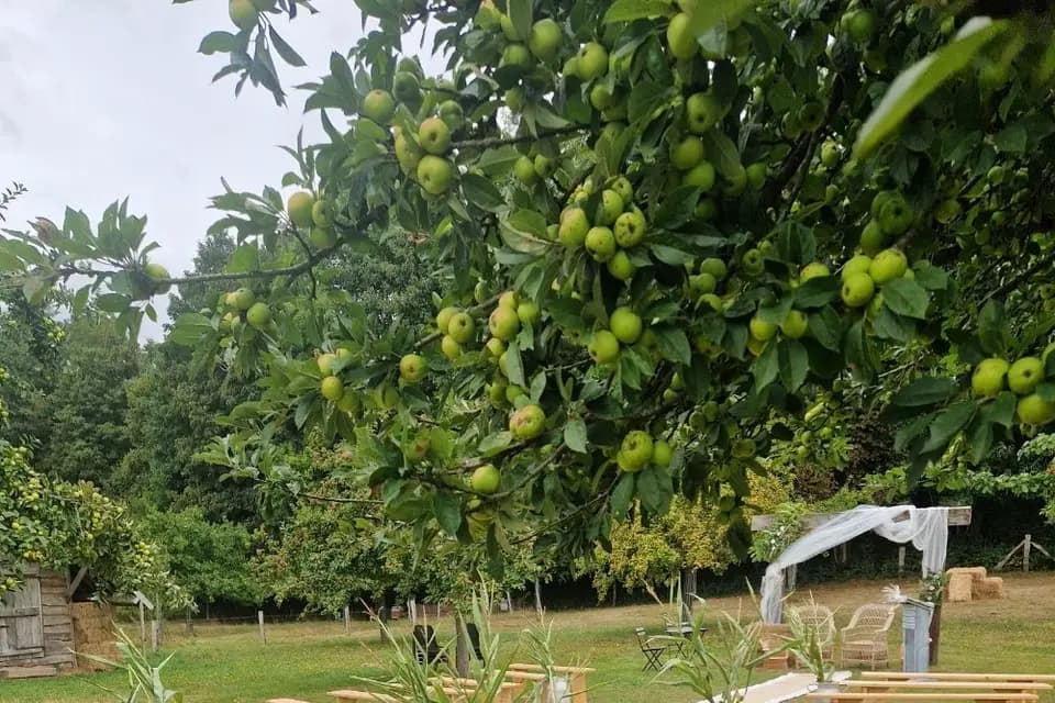 Gîte de la Cour — photo 2