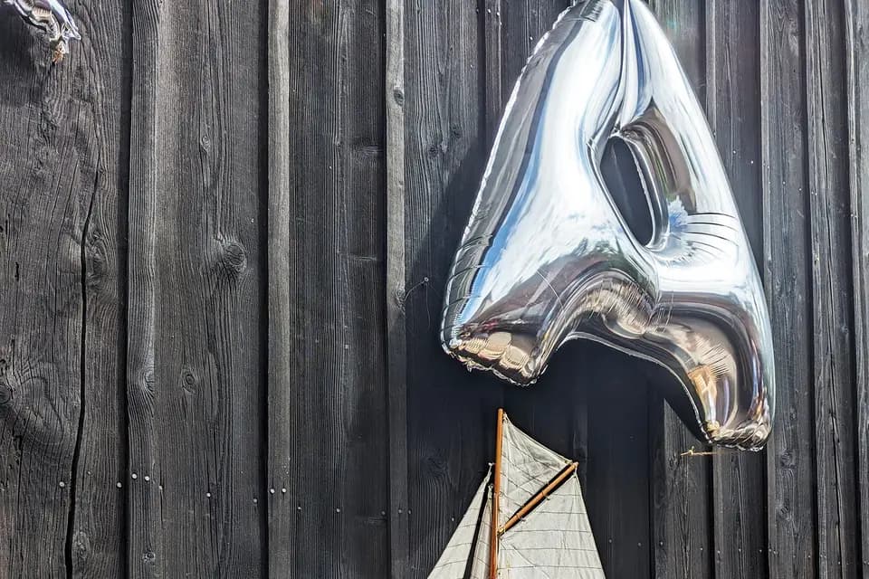 Studio 149 Élise — photo 4