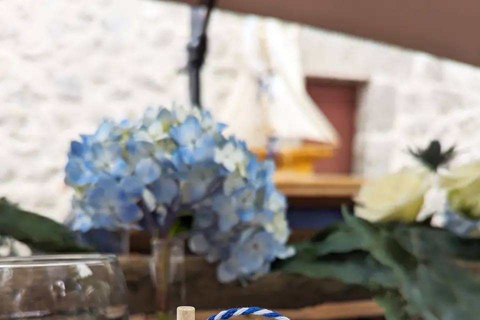 Studio 149 Élise — photo 7