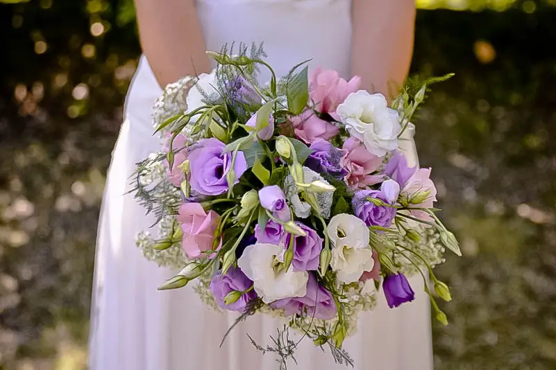 Studio 149 Élise — photo 2