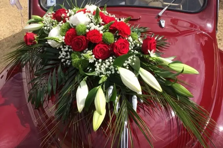 La Fougère à Moustache — photo 6