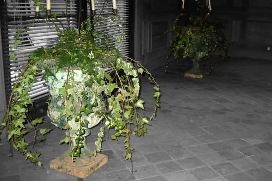 Fayence Fleurs — photo 3