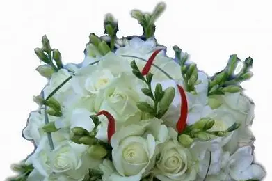 Fayence Fleurs — photo 8