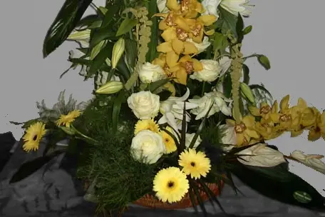 Fayence Fleurs — photo 5