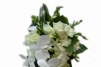 Fayence Fleurs — photo 7