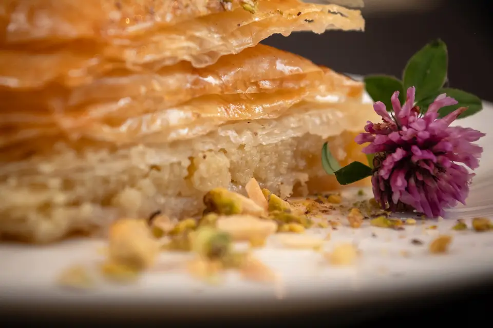 Le Cèdre — photo 3